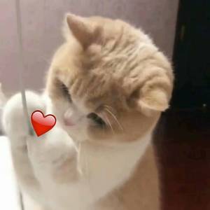 美女想玩逼逼下载视频
